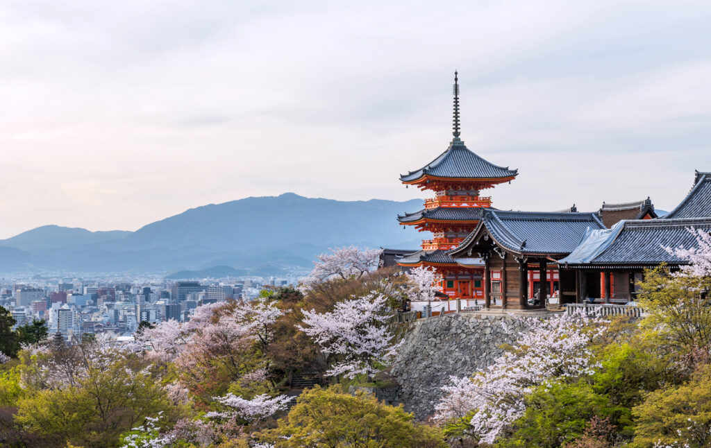 Study in Japan